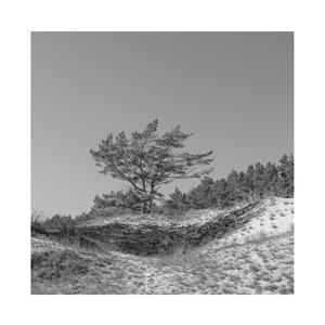 明星做爱视频免费看
