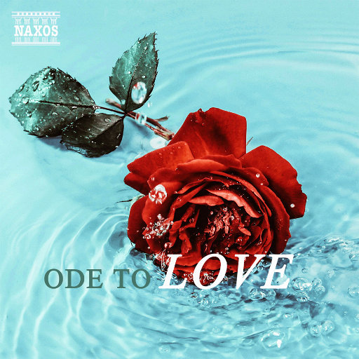 明星做爱视频免费看
